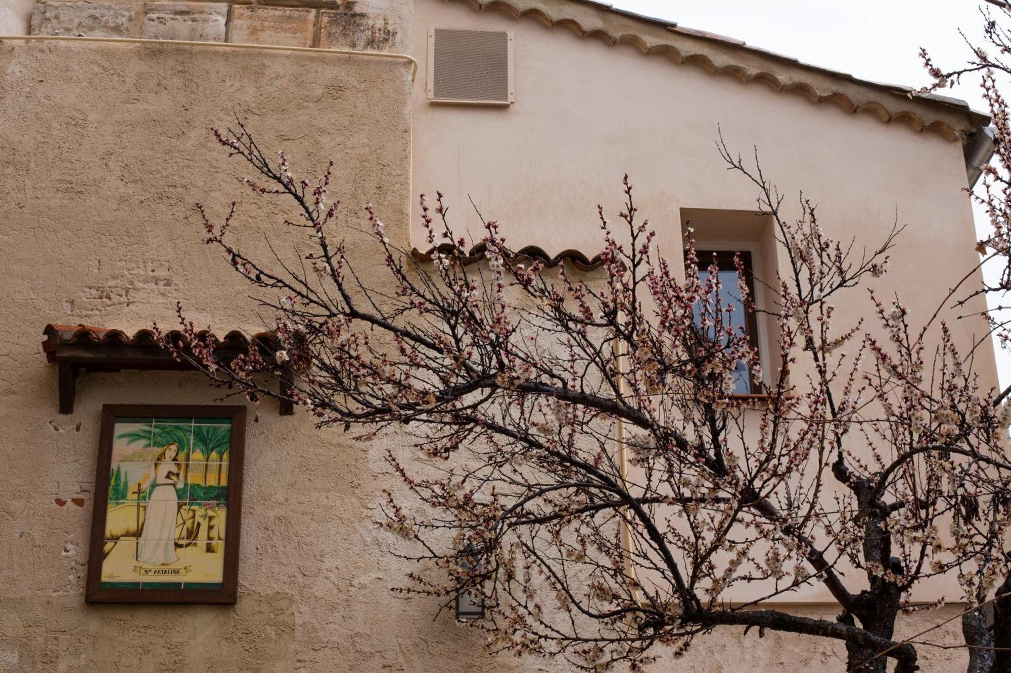 Villa Huerto De Mateo Arana Cuenca  Esterno foto
